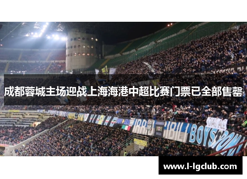 成都蓉城主场迎战上海海港中超比赛门票已全部售罄