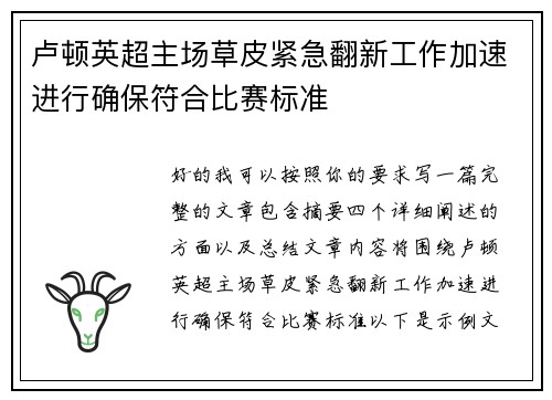 卢顿英超主场草皮紧急翻新工作加速进行确保符合比赛标准 卢顿英超主场草皮紧急翻新工作加速进行确保符合比赛标准